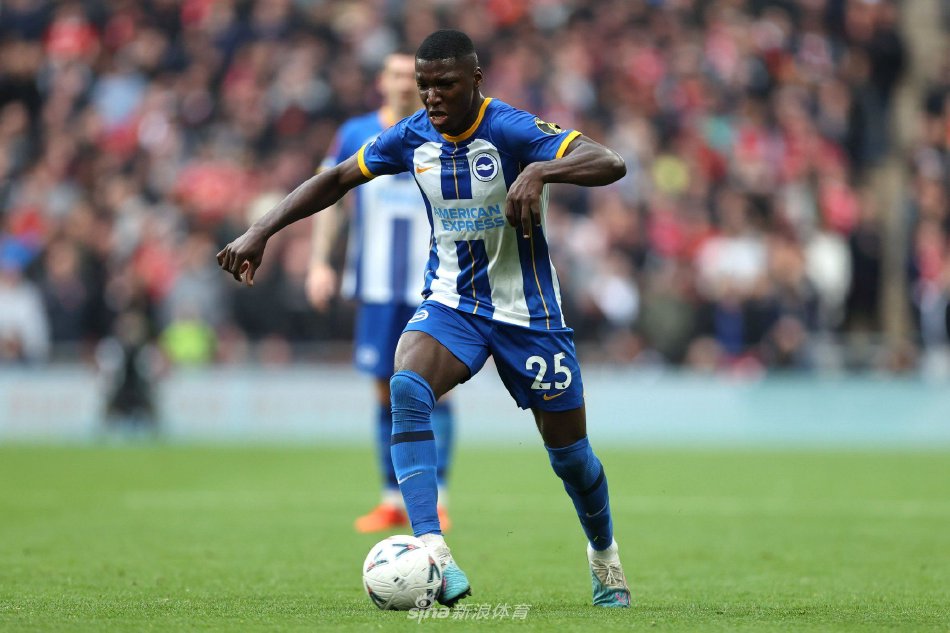 辛纳习惯在 辛纳习惯在